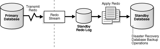 Data Guard Overview